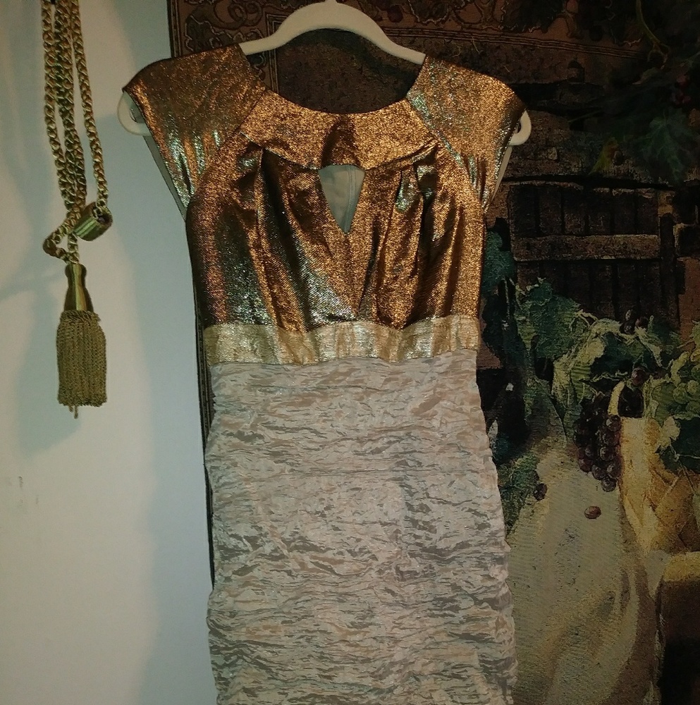 Nicole miller Dress